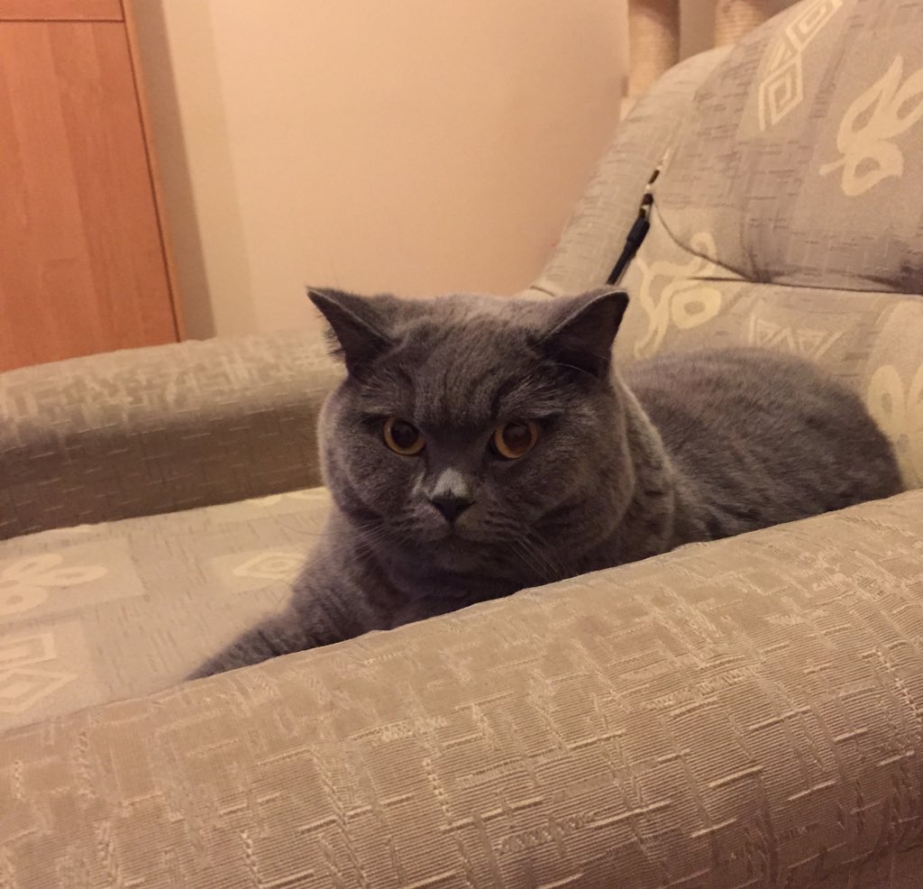 magda_siwik's tweet image. #PanKot