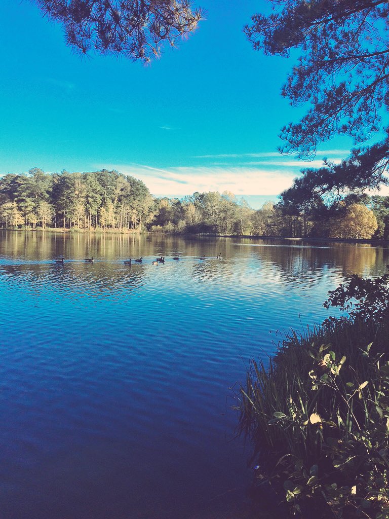 alxanl's tweet photo. This earth is incredible. https://t.co/Zp7AfM9ilp