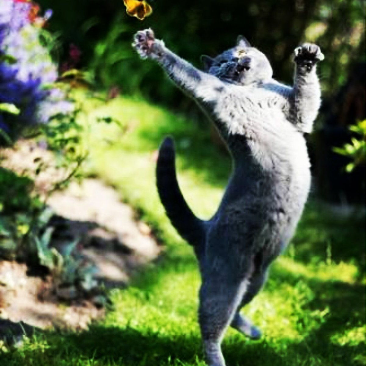 Can't wait 2 #move with the Dayboro ladies 2day! 9.30 Body (Barre) 10.30 Soul (lyrical jazz/burlesque) come  #laugh