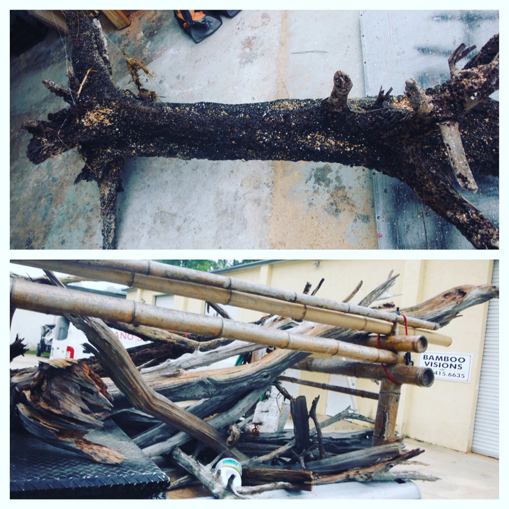 Our latest driftwood finds!