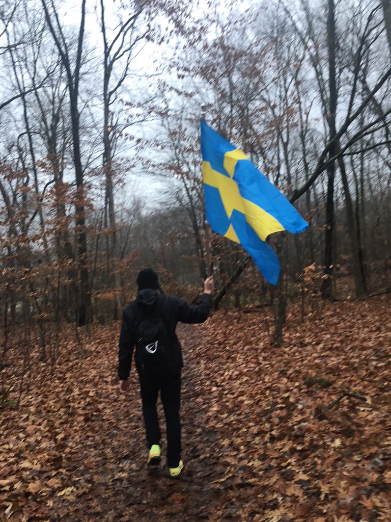 Bacon_Outlaws's tweet photo. When bacon hasn't lost with a Swedish Flag at the game #letuswave https://t.co/YdoJixcKqM