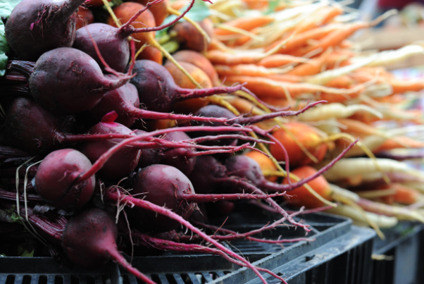 Технологии уборки корнеплодов свеклы. Технология уборки корнеплодов. Морковь и свекла. На какой луне убирают корнеплоды. Морковь на грядке.