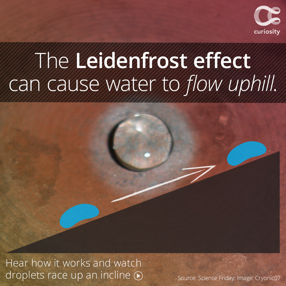 curiositydotcom's tweet photo. See water droplets climb hills and even “navigate” a maze, via @SciFri: https://t.co/JMkTFg8hhA https://t.co/v87PBXidrL