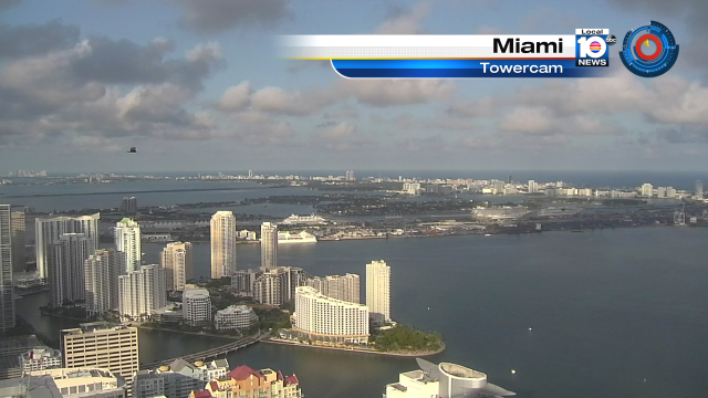 #Miami Beach looks stunning on this warm November day. @thebettydavis https://t.co/RMmThRaKQw