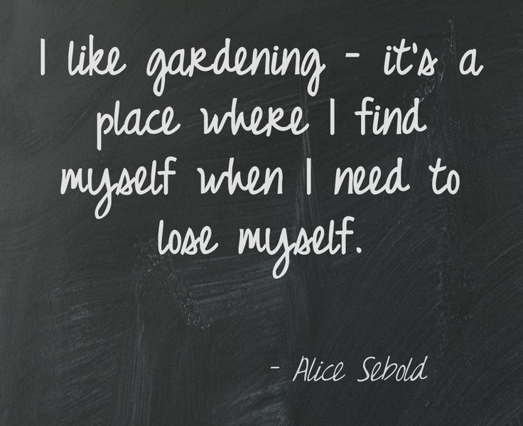 naturehills's tweet photo. "I like gardening..." #gardenquotes #gardening https://t.co/7HwXInHyal