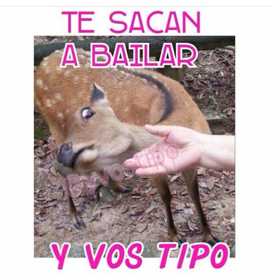 cheetonta tweet picture