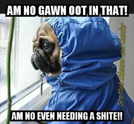 HugoTheBorder's tweet image. 