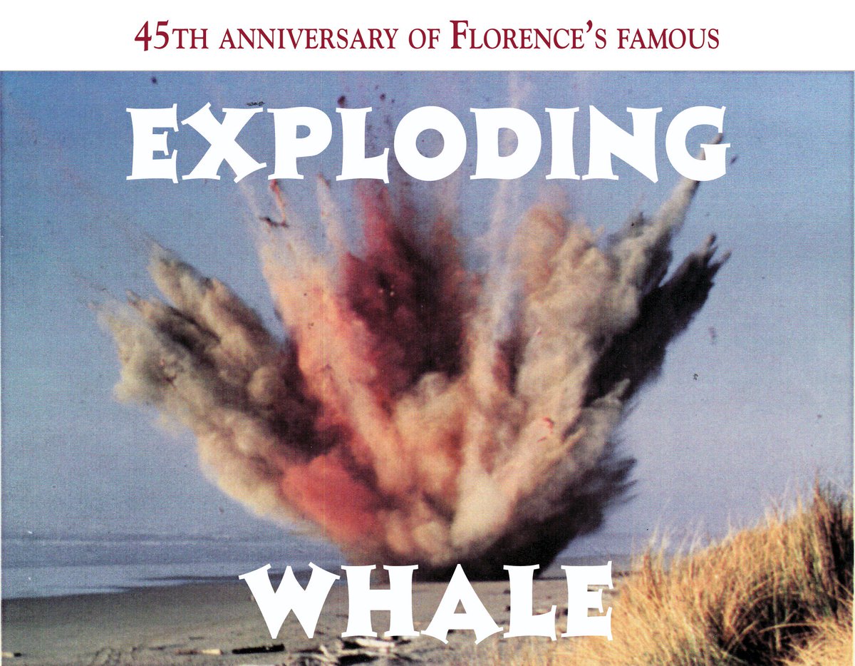 SNews_Chantelle's tweet photo. It's the 45th anniversary of the #explodingwhale! #ThrowbackThursday Check out the article @ https://t.co/79gIo7siya https://t.co/Cl0Thf8qVD