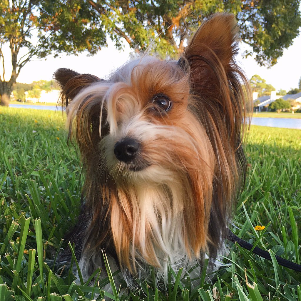 FattieButters's tweet photo. Ti amo mondo. Sei bellissima! https://t.co/lgSSJUvdj2