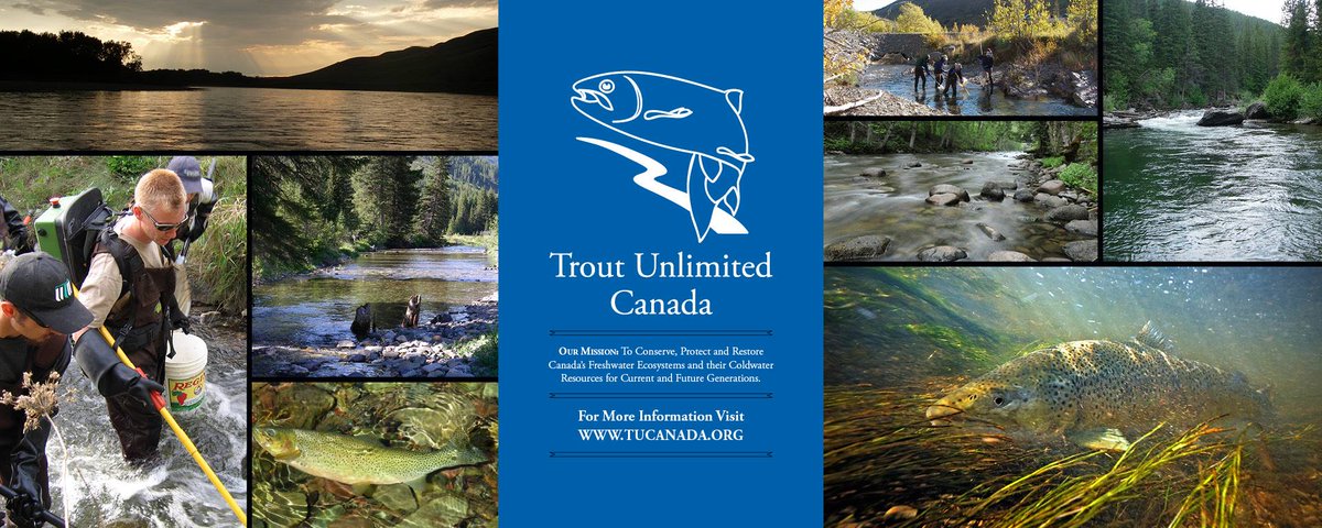 TFOFlyRods's tweet photo. Fall Splash dinner and auction tickets now available from TU Calgary Chapter, save the date Nov.26 https://t.co/IuNkJWdg2q