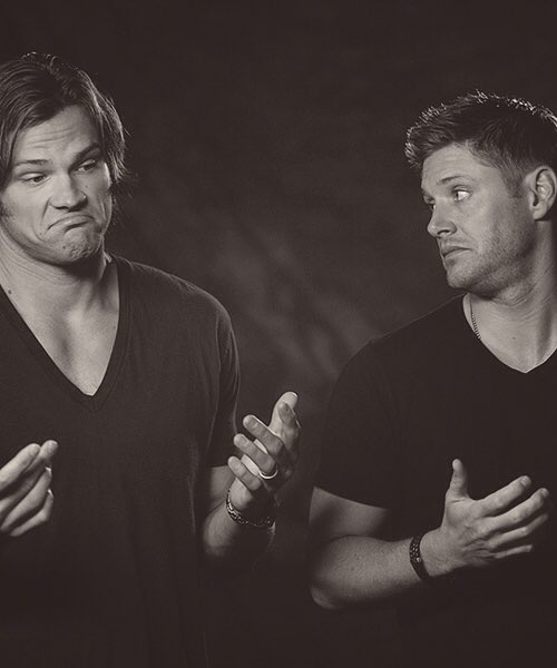 softfrenchie's tweet image. Sunshines