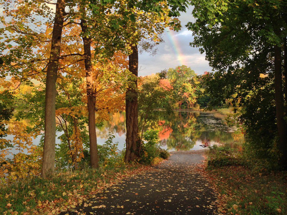 masslivenews's tweet photo. Fall photo contest winners announced. #Fallfoliage #MAFall https://t.co/0AkyzUATSG https://t.co/hanVKJfphc
