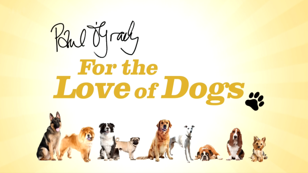 petsukofficial's tweet photo. Who's looking forward to 'Paul O'Grady: For the Love of Dogs' tonight? #pogdogs https://t.co/zoCSUEq0la