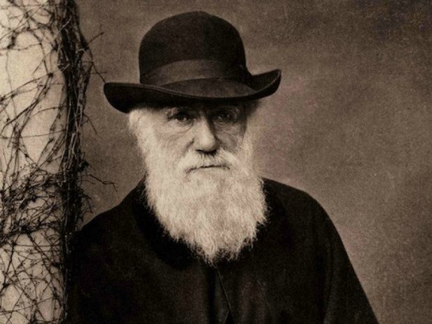 HowardGoodman's tweet photo. RT @nationalpost: Darwin’s Origin of Species voted most influential academic text https://t.co/ditiIO0SxO https://t.co/m0oTmPYs48