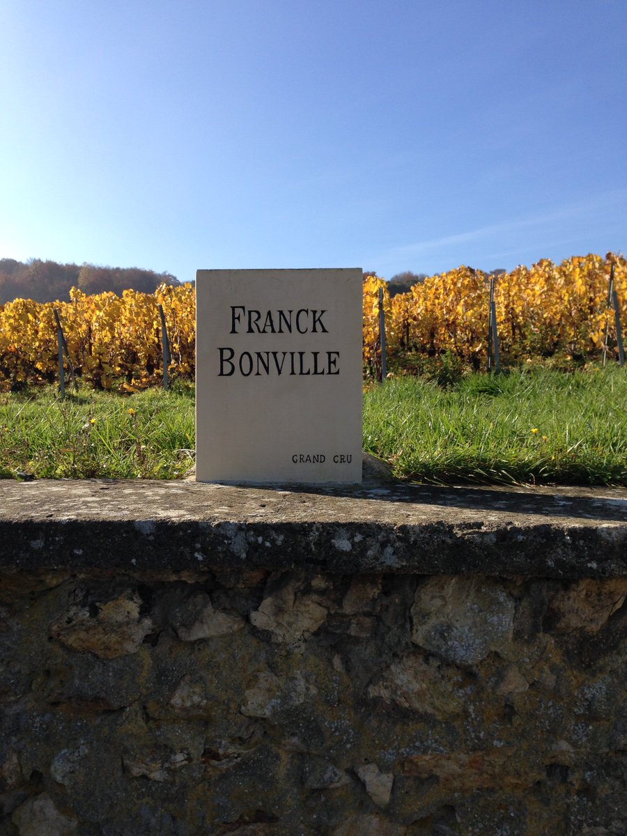 #ChampagneFranckBonville #Oger #LesBellesVoyes #GrandCru #IndianSummer #BeautifulDay
