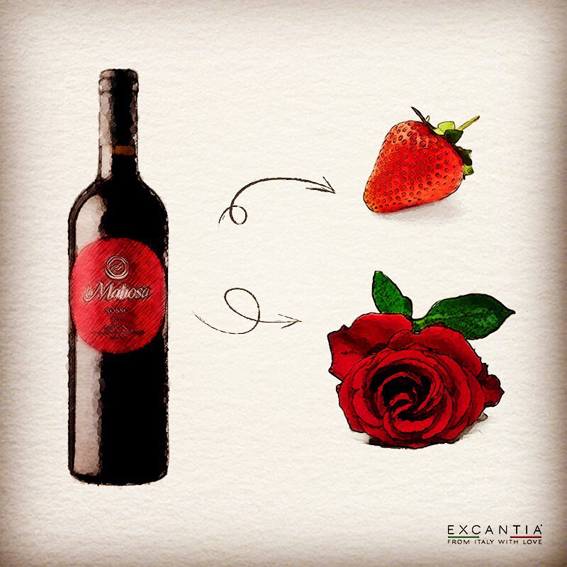 Excantia_IT's tweet photo. La Maliosa rosso è ora sul nostro store! Scopritela assieme a noi! https://t.co/ycHnolZ5vr https://t.co/PVgqWErSOA