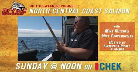 fishslayer14's tweet photo. Watch the new BC Outdoors Sportfishing Show at #ShearwaterResort airing this Sunday at noon on CHEK TV https://t.co/utyhMed4GP