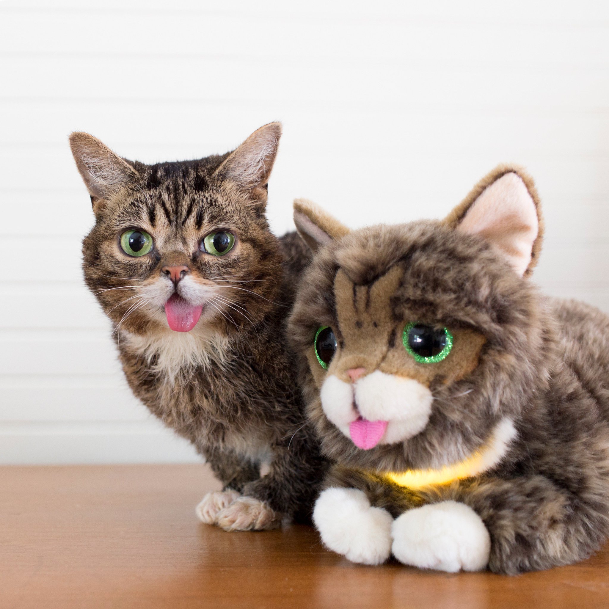 lil bub plush