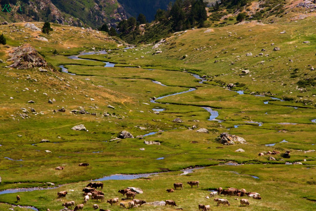 RulX10's tweet photo. #landscape #mountains #Pirineos #Andorra Lagos de Tristaina @andorraworld_ad https://t.co/iIQOvIccay