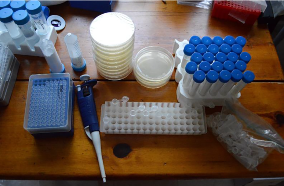 Do-it-yourself CRISPR genome editing kits bring genetic engineering to your kitchen bench - gizm.ag/1WNUlNh