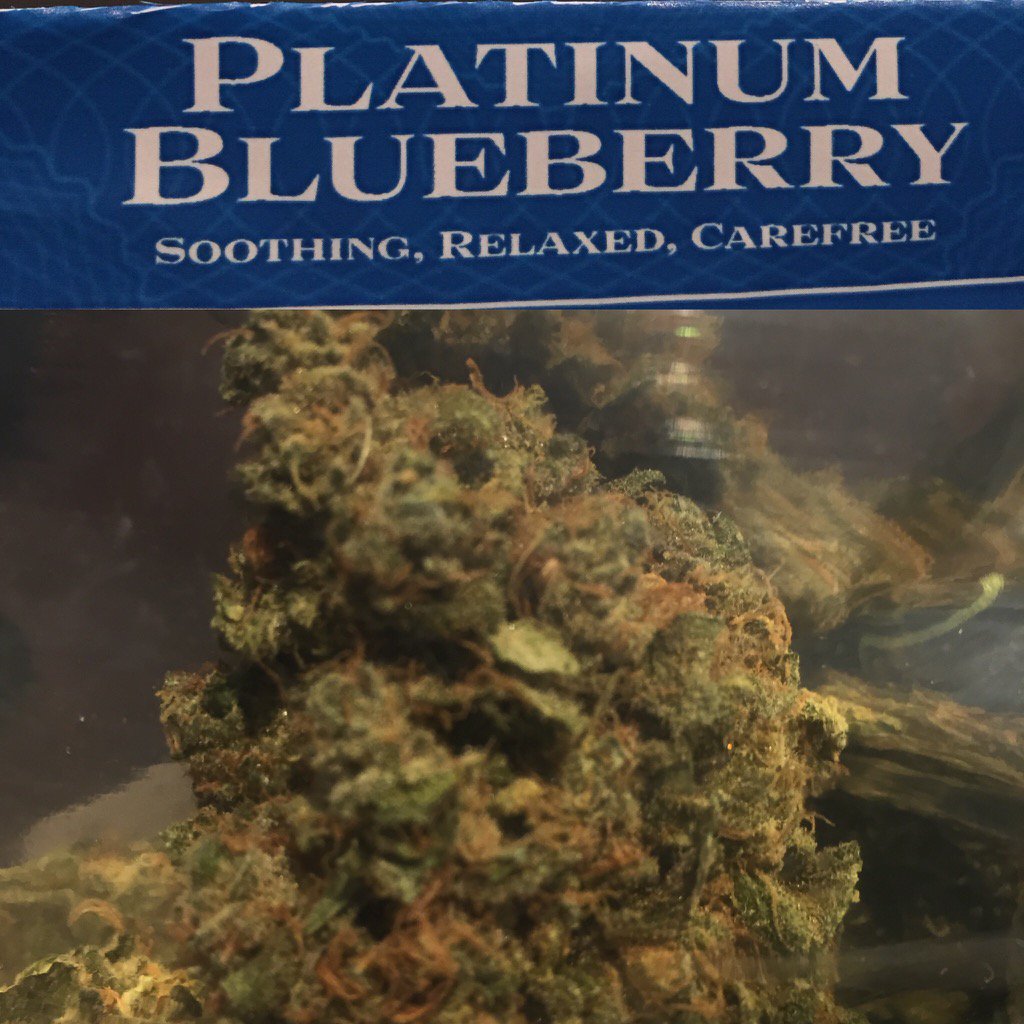 greenhead420's tweet photo. Sweet and soothing Indica Platinum Blueberry by @VashonVelvet will 
#vashonisland #i502 #vancouver #pdx #wapot https://t.co/hp04wnn7Ak