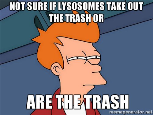 CellWallBae's tweet photo. @WHSBiologyLeDuc  
#leduc6
@lysosomesrock1 https://t.co/n5yR79gaQH