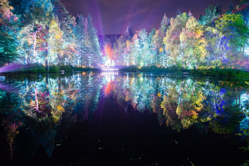 Gleneagleshotel's tweet photo. Amazing light show transforms Scottish wood into an Enchanted Forest. https://t.co/w3PoPaqpM0 @VisitScotland #travel https://t.co/7rSH8VsbR4