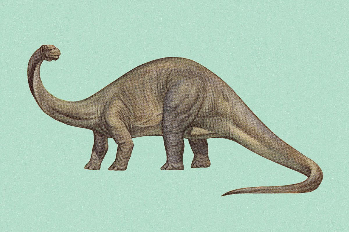 newscientist's tweet photo. Once your blood was dinosaur pee. But that was just one stop on this wet journey: https://t.co/GgNj7XLIvT https://t.co/NFwixV0q0G