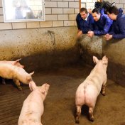 Staatssecretaris Van Dam gaat de stal in dlvr.it/CkBFdf