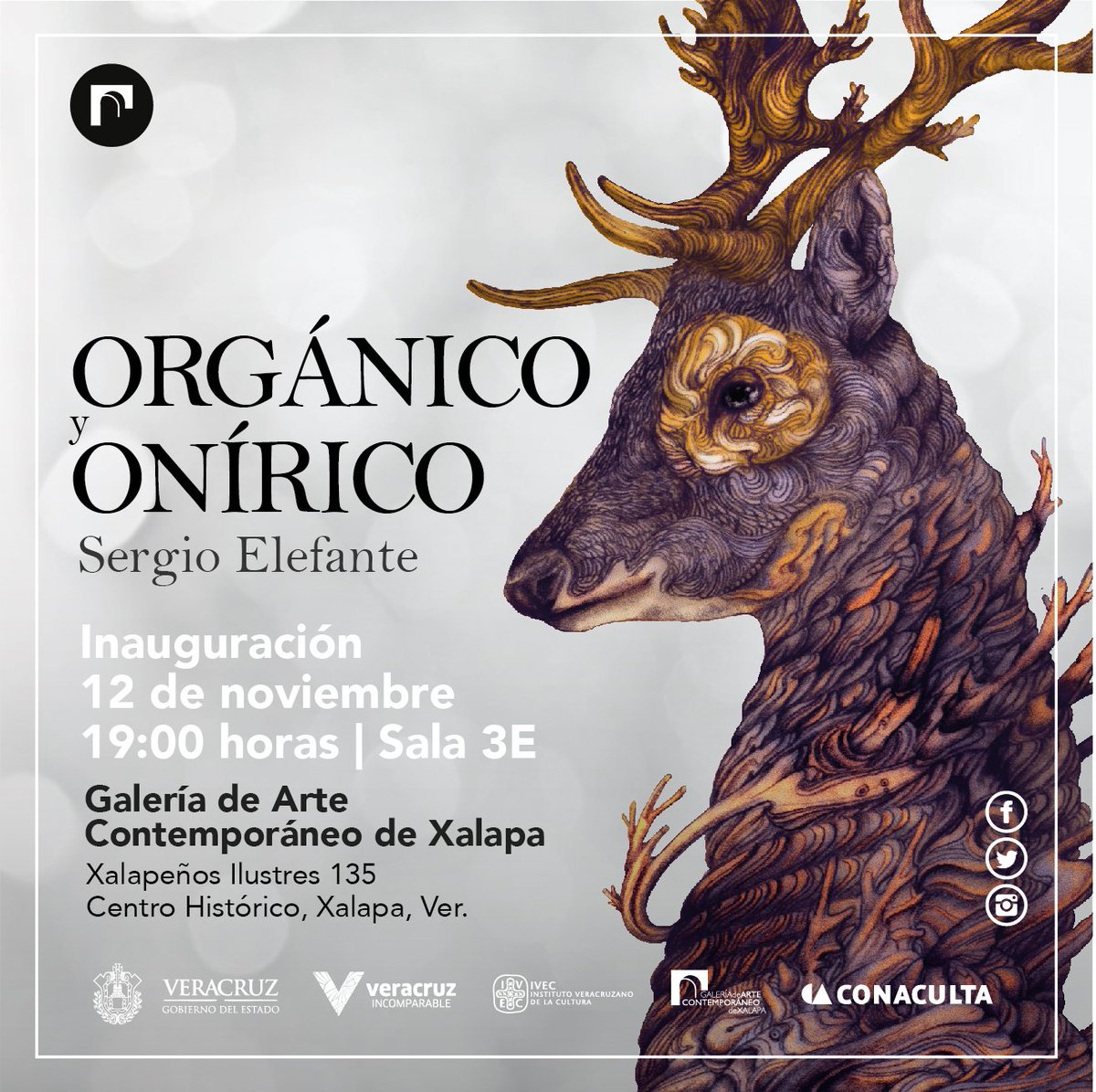 GACXalapa's tweet photo. Hoy 19:00 horas se inaugurarán las exposiciones <Katsinas> y <Orgánico y Onírico>
Entrada Gratuita.
Los esperamos!!! https://t.co/k2KHlKx4ML