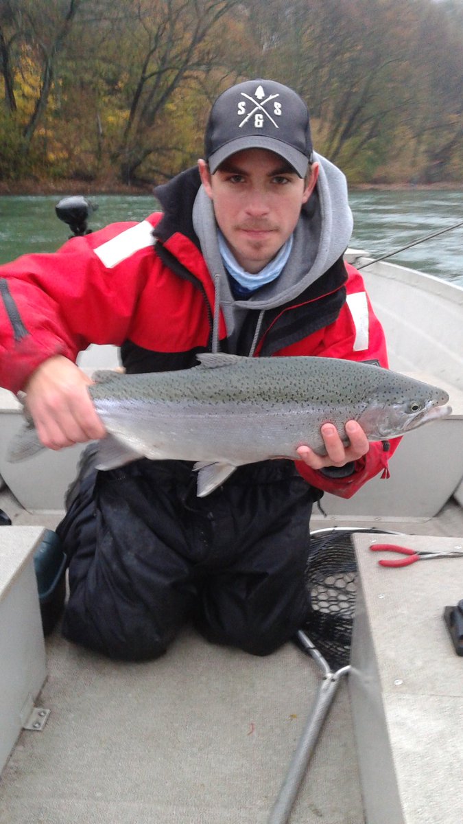 Dan Trozzi tweet media