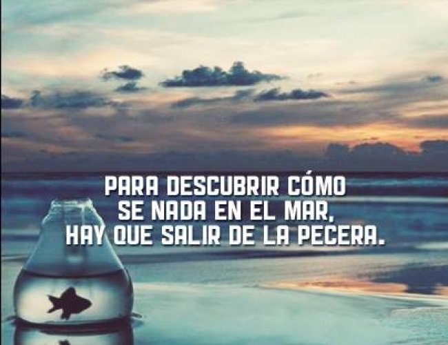 JUAN I. SANDOVAL CH. tweet media