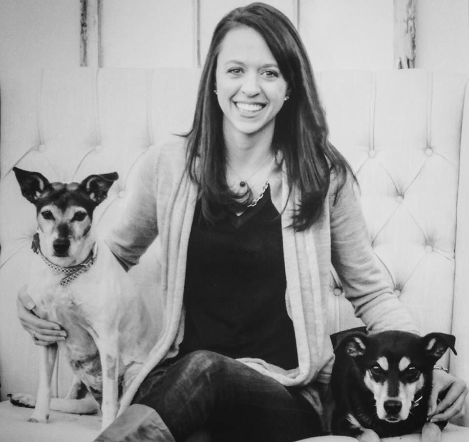 Wedington Animal Hospital (@WedingtonAnimal) / Twitter Wedington Animal Hospital (@WedingtonAnimal) / Twitter