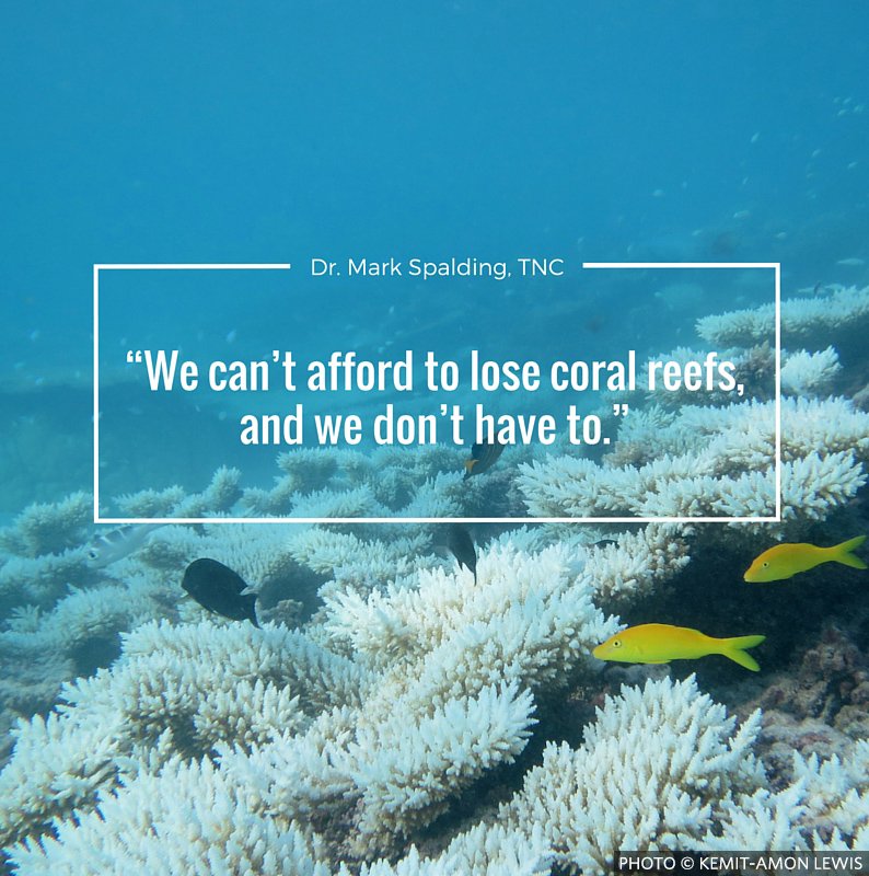 nature_org's tweet photo. If we act now, we can save coral reefs https://t.co/d1QV677XLy https://t.co/jkNAgx7BOJ