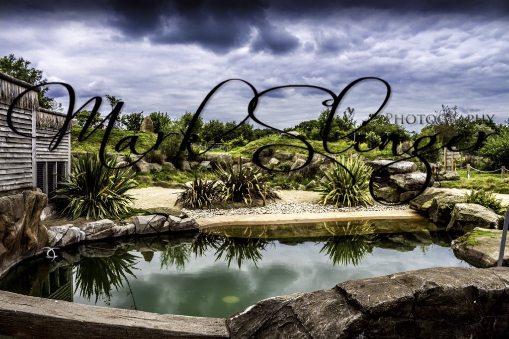 Love taking shots for attractions and events #daysout #photography