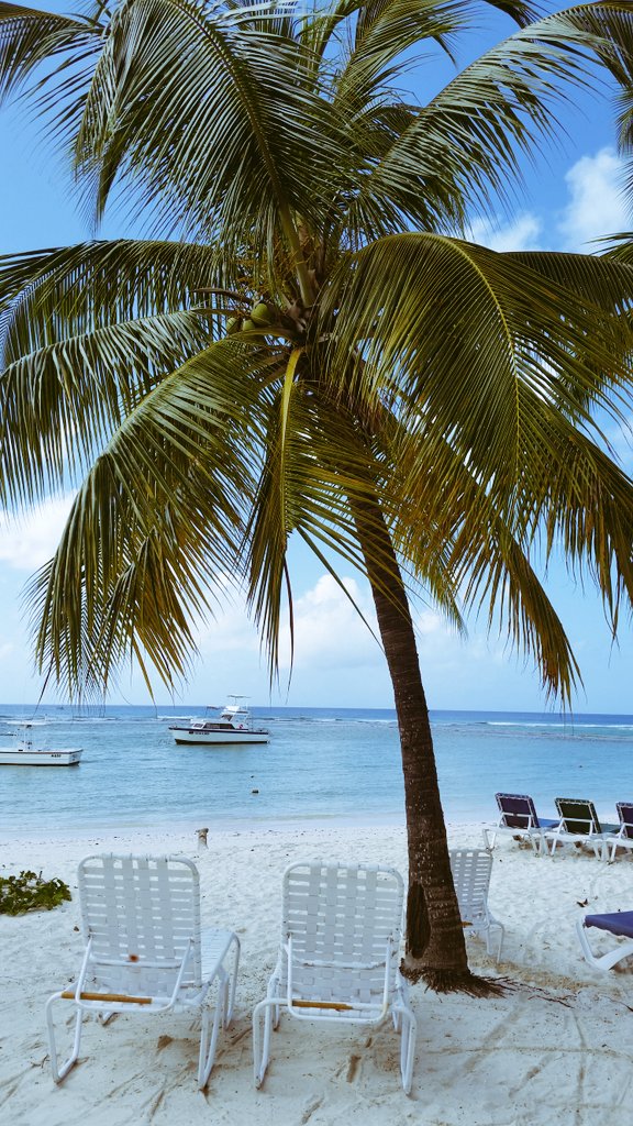 YellowBirdHotel's tweet photo. #thiscouldbeyoubut.... You're not in Barbados!!!! #visitbarbados #twittertravel #tripadvisor #visityellowbird https://t.co/sccxPWYXKc