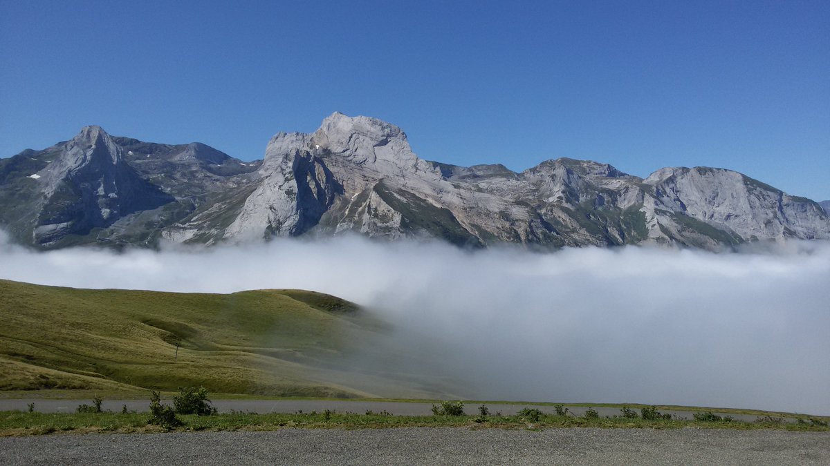 Paul Simons tweet media