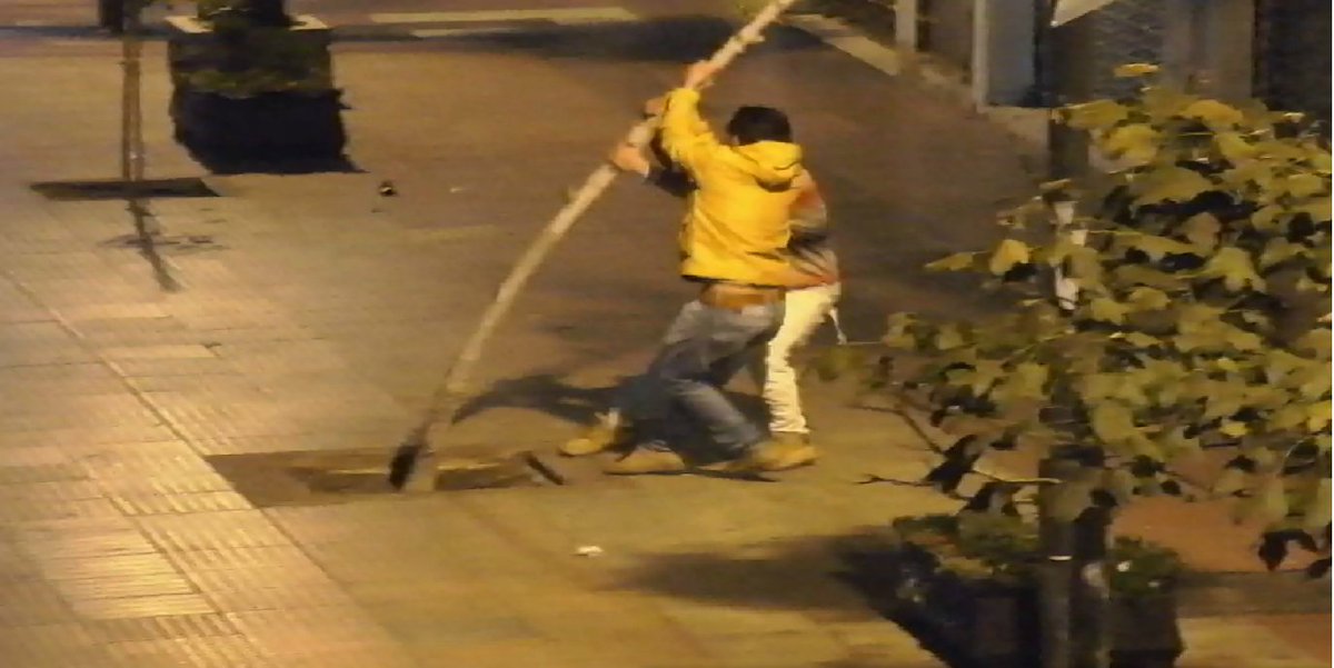 Despreciable destrozo de árboles en el centro de @la_serena_chile municipio se querellará