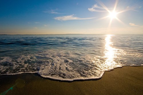 #eReferenceDesk☞ Joe (@ereferencedesk) on Twitter photo °✿▶RT & FOLLOW◀✿° 🔝👣💯≫≫The Sun a Star
-⊰❀ The Bεʂէ @alaura2015 <a href="/MGWV_ROUSE/">MGWV_ROUSE</a>
💁#F4F💯 😙🎶<a href="/eReferenceDesk/">#eReferenceDesk☞ Joe</a> <a href="/jlferguson50/">Joe ☞#eReferenceDesk</a>💥 °✿▶RT & FOLLOW◀✿° 🔝👣💯≫≫The Sun a Star
-⊰❀ The Bεʂէ @alaura2015 <a href="/MGWV_ROUSE/">MGWV_ROUSE</a>
💁#F4F💯 😙🎶<a href="/eReferenceDesk/">#eReferenceDesk☞ Joe</a> <a href="/jlferguson50/">Joe ☞#eReferenceDesk</a>💥
