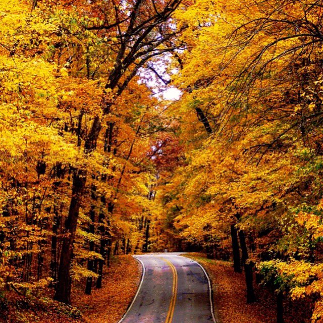 LSoyCandles's tweet photo. When in doubt, take the road less traveled and get #inspired by #mothernature https://t.co/HrCtJniPgr