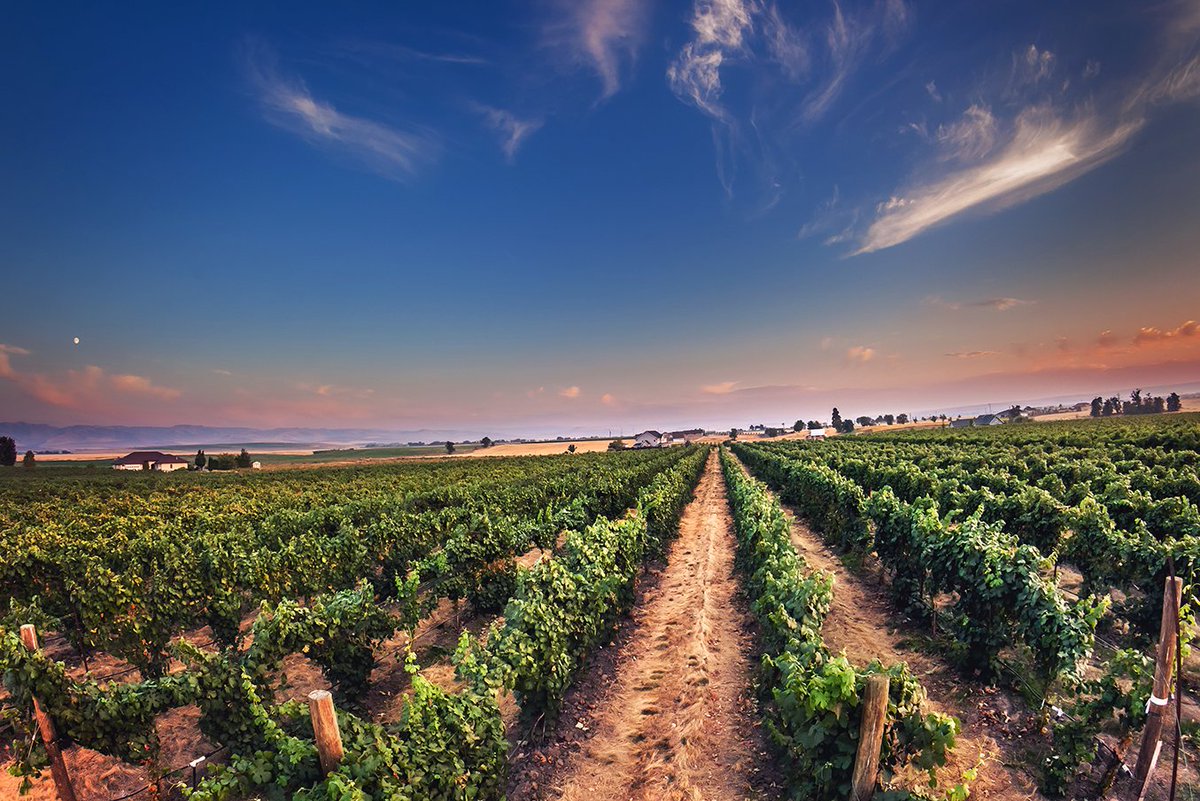 Welcome to the #Washington <a href="/sothebysrealty/">Sotheby's International Realty</a> family, Walla Walla SIR! bit.ly/1lb9NlF