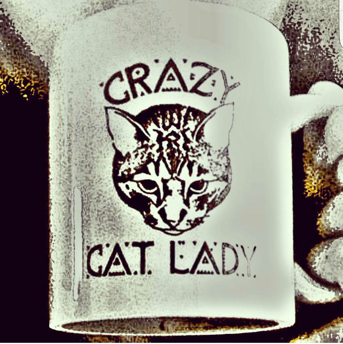 VMezzaroma's tweet photo. Crazy cat lady!
#mug #crazycatlady #catmug #teatime #catinthehat #outofhead #meow #miao #lion #leo #blackandwhite https://t.co/RD5aZsuILS