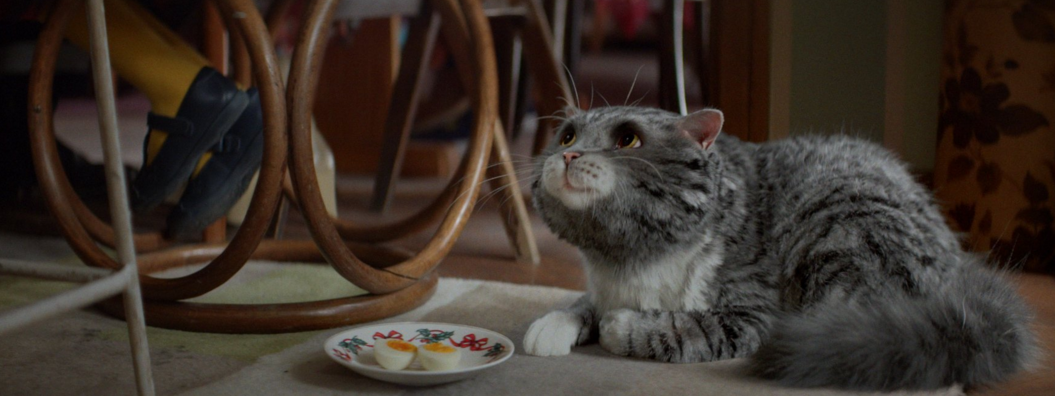 HuffPostUK's tweet photo. It seems the verdict is in: @sainsburys Christmas advert wins over John Lewis 'hands down' https://t.co/QVySF9TG3p https://t.co/XKvSbsA6Wc