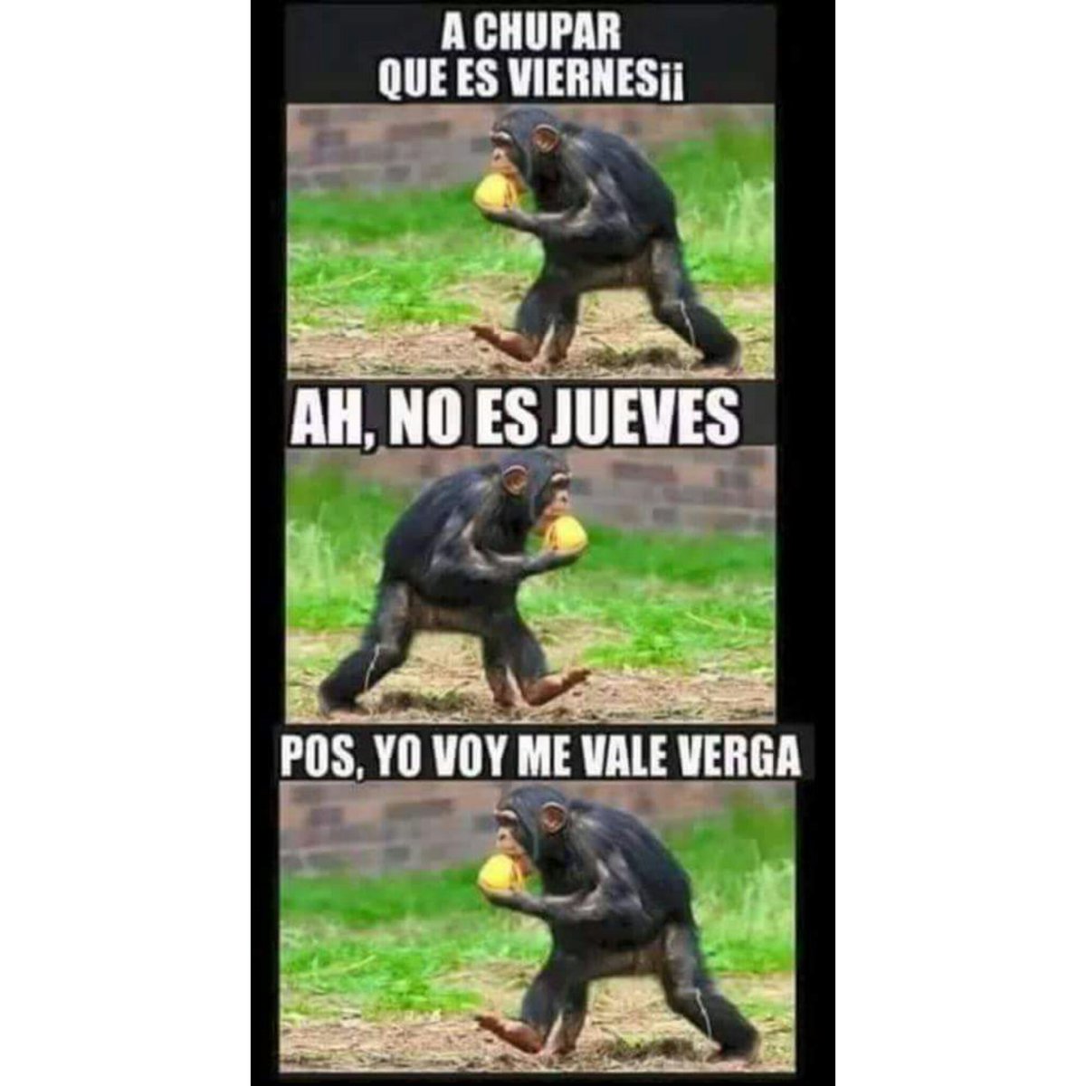 Ronaldpeque's tweet photo. 😃 https://t.co/VcTVy2nXp4