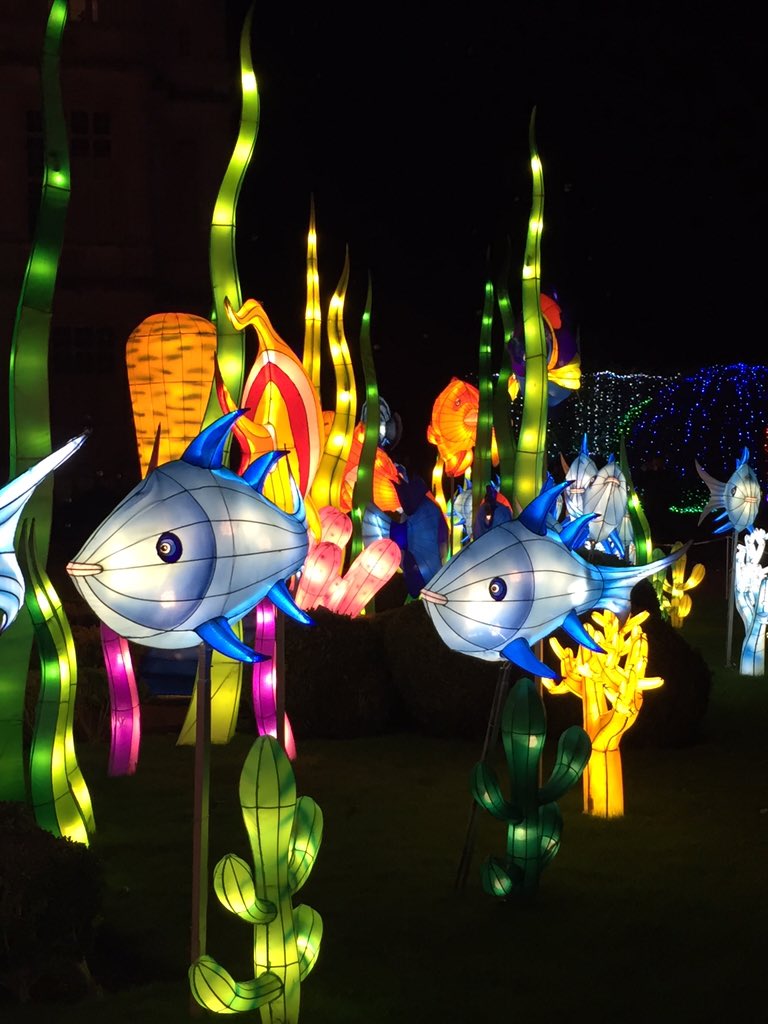 <a href="/Longleat/">Longleat</a> #festivaloflight two words simply stunning