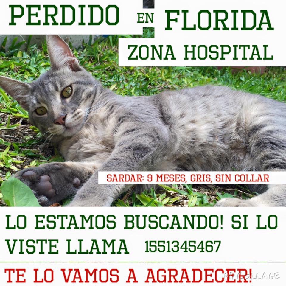 aguspessolano's tweet photo. https://t.co/72RaH5SkUh