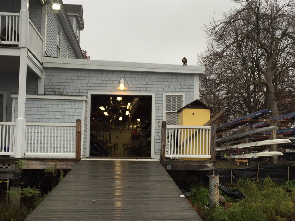 rbcdockgames's tweet photo. Porch game is strong today #wildlife https://t.co/5SZDgBCLJF