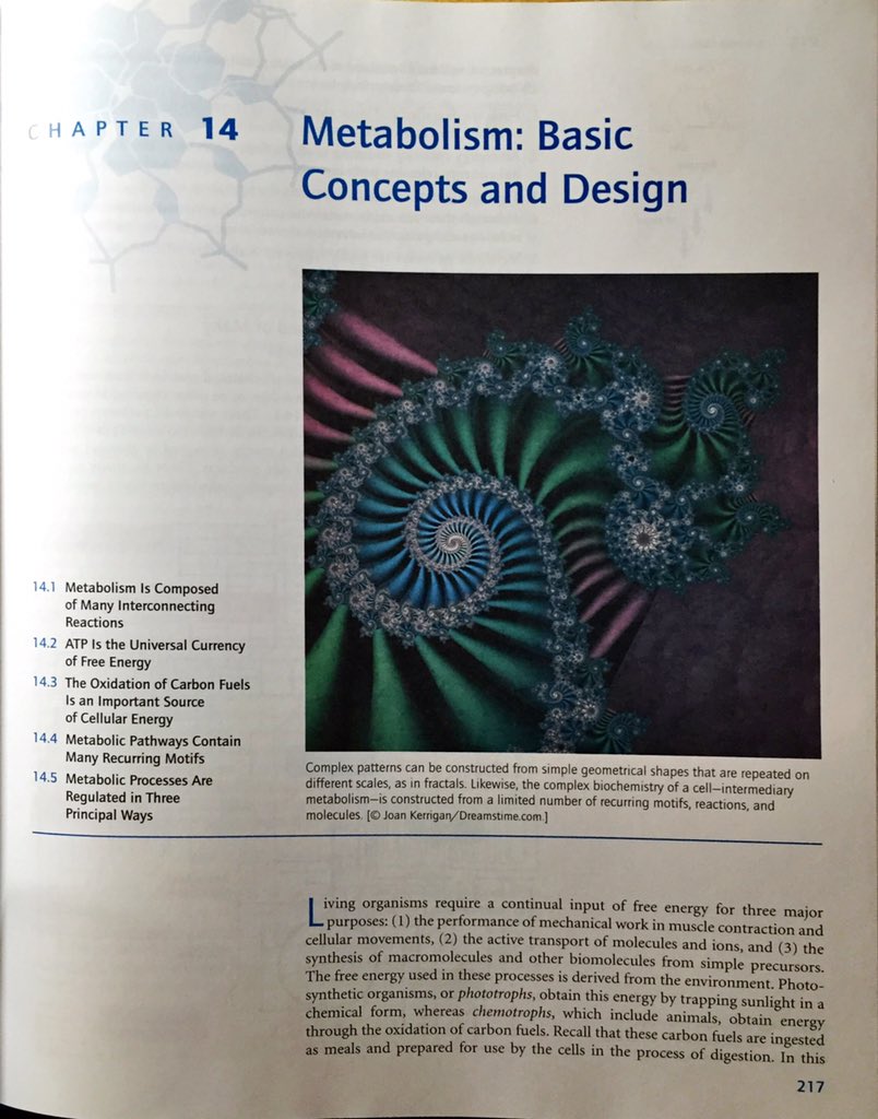 online Microhydrodynamics