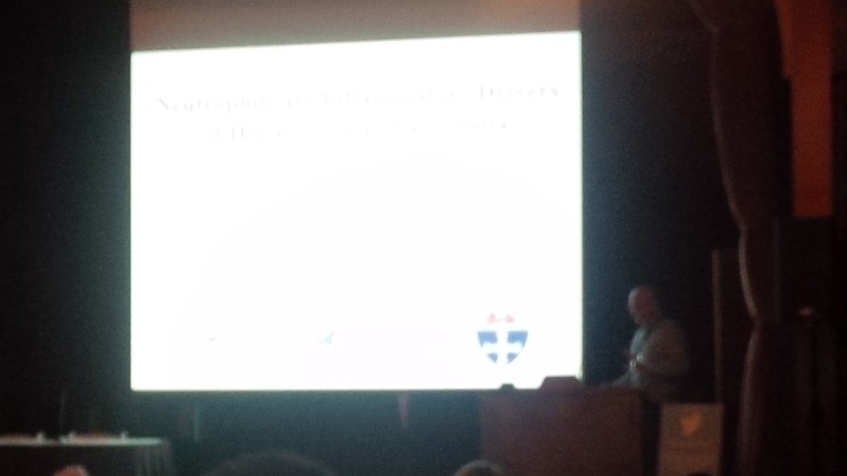 harry_brennan's tweet photo. Neutrophils are inflammatory drivers of HCC, conference by Dr. @derekamann1 from @FibrosisLab at #ISCHS15 https://t.co/nz7XPgH2ql
