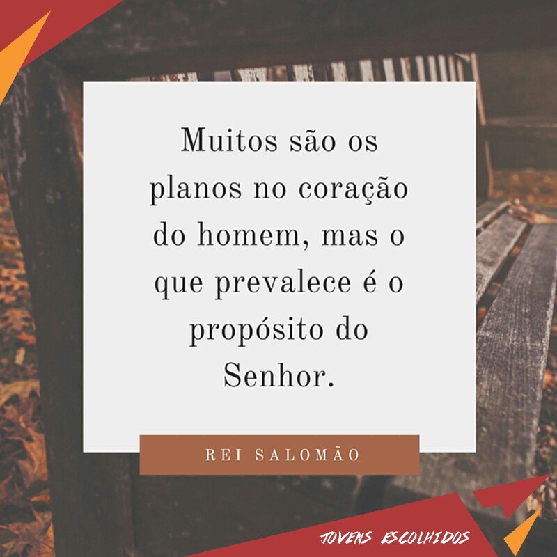 JEscolhidos's tweet photo. https://t.co/pMs1P8rJjt